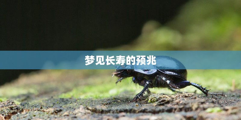 梦见长寿的预兆