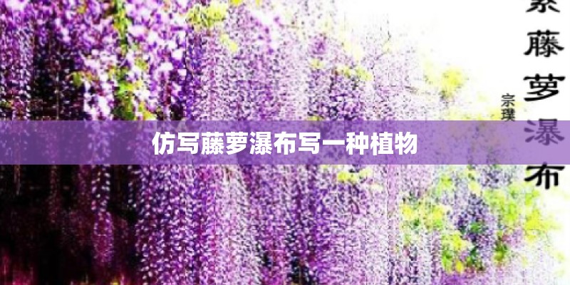仿写藤萝瀑布写一种植物