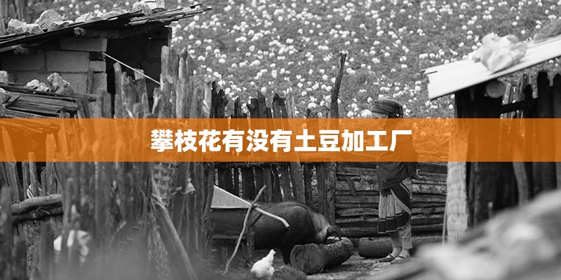 攀枝花有没有土豆加工厂