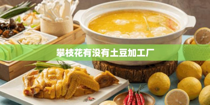 攀枝花有没有土豆加工厂