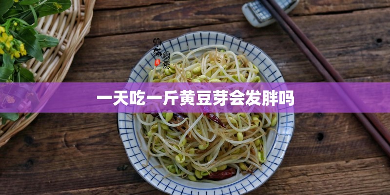 一天吃一斤黄豆芽会发胖吗