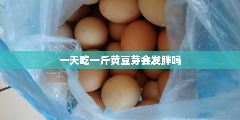 一天吃一斤黄豆芽会发胖吗