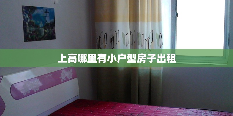 上高哪里有小户型房子出租