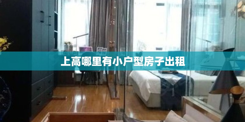 上高哪里有小户型房子出租